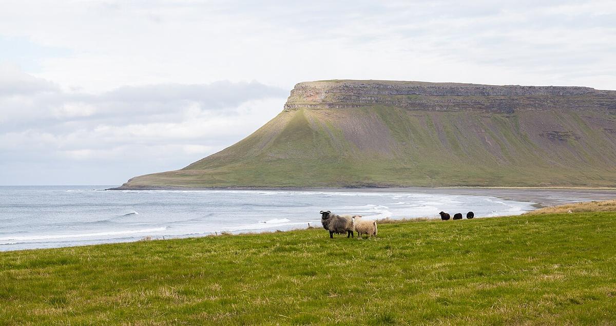 Brimlárhöfði