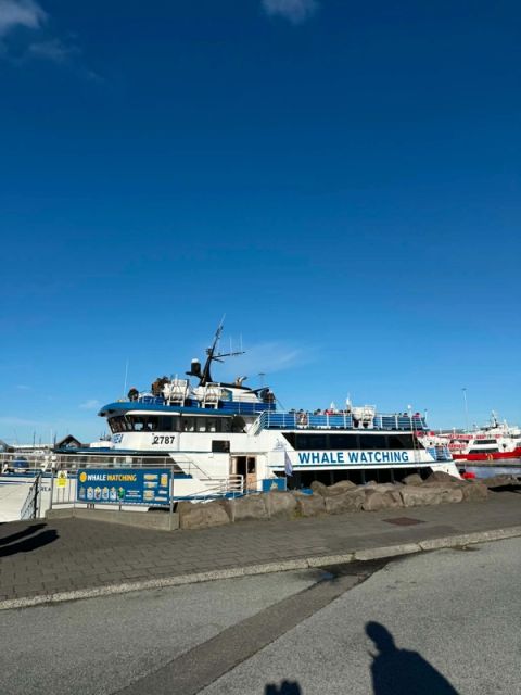 Whale watching boat Andrea at Reykjavík Old Harbour