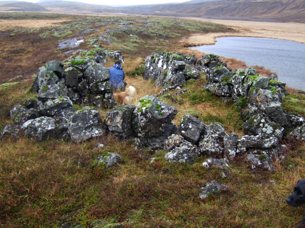 辛格瓦拉雷特 in south-iceland