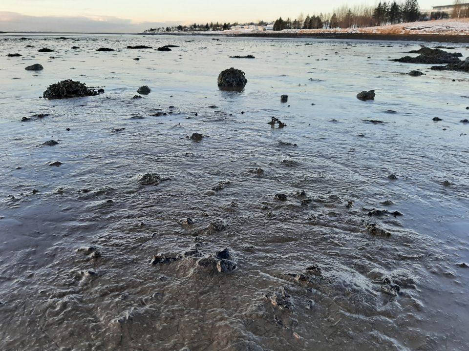 Kópavogsleira