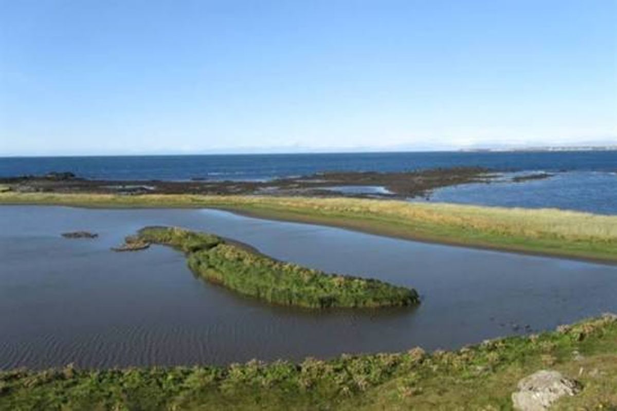 Innstavogsnes in west-iceland — photo 1