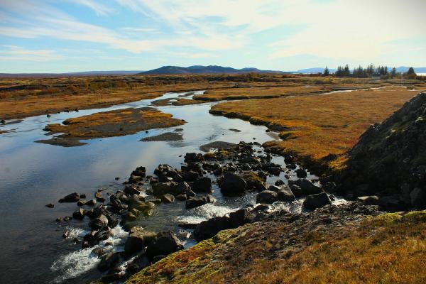 Elliðaá — Reykjavík's Salmon River