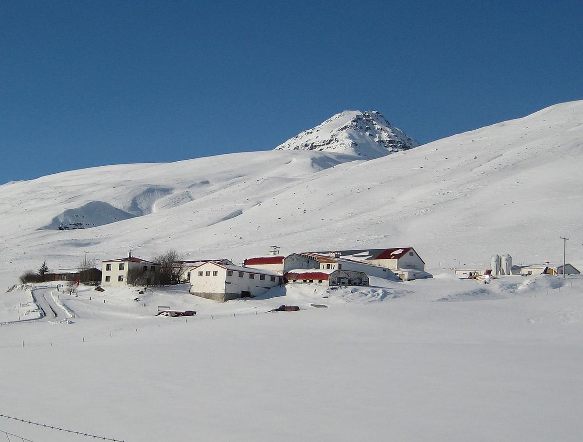 Gimbrarhnjúkur