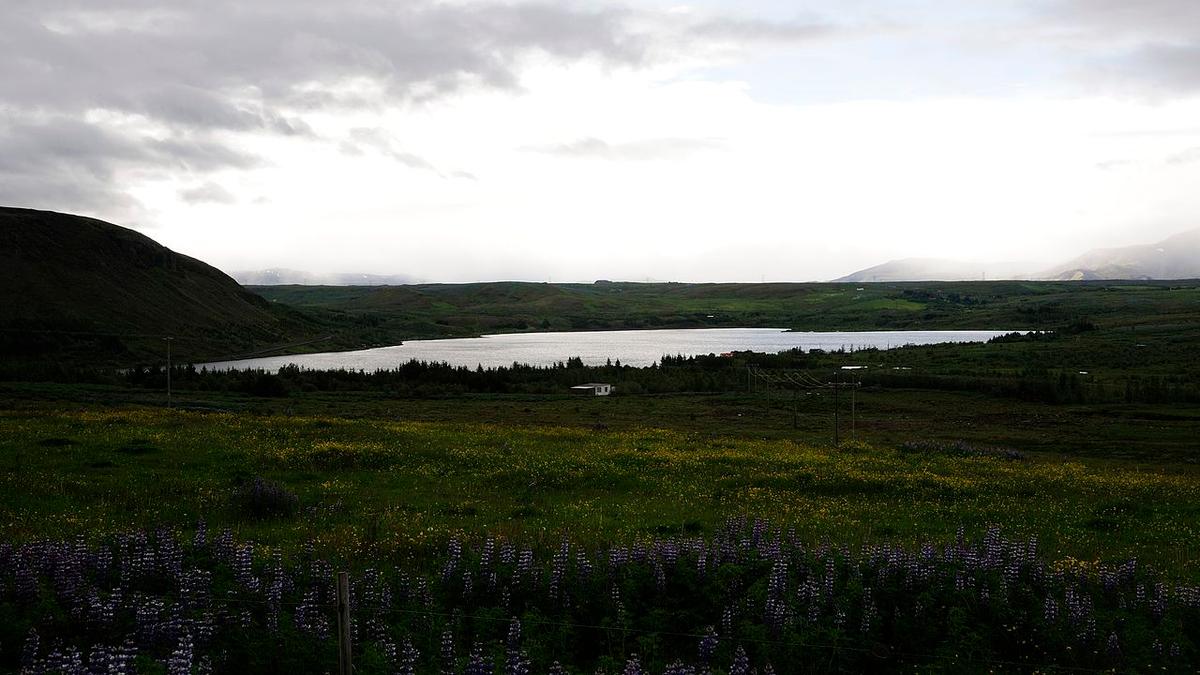 Langavatn