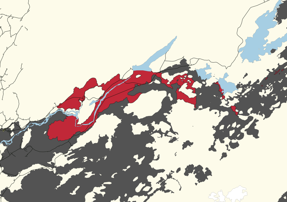 Skarfanes