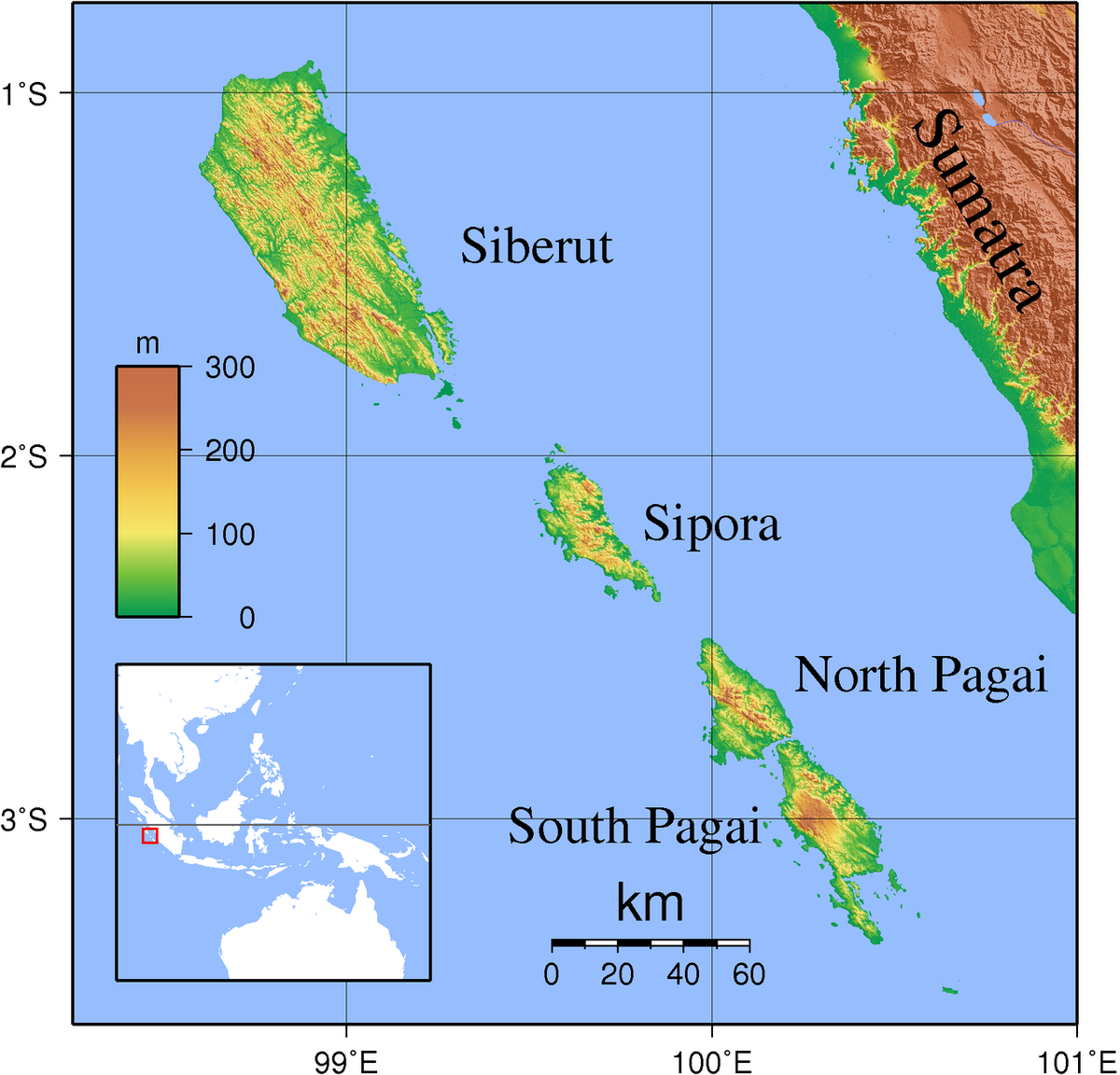 Bunga