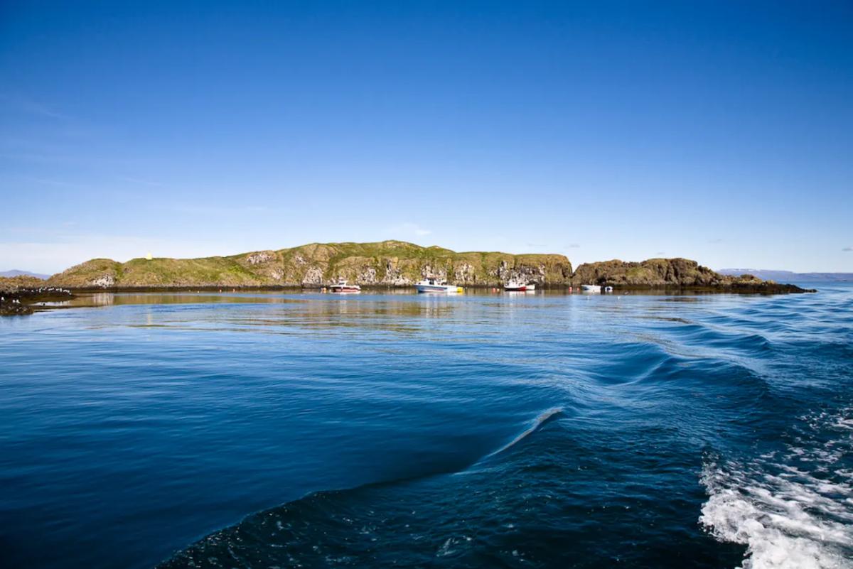 Flatey in westfjords