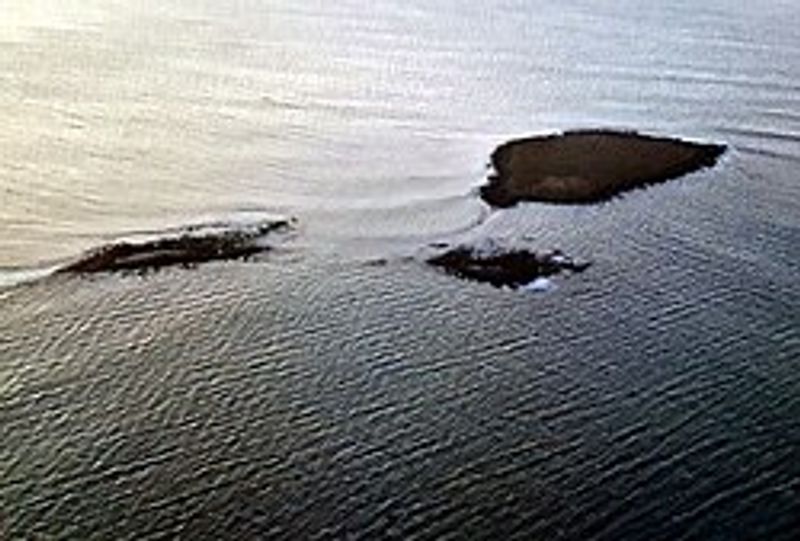 Akurey