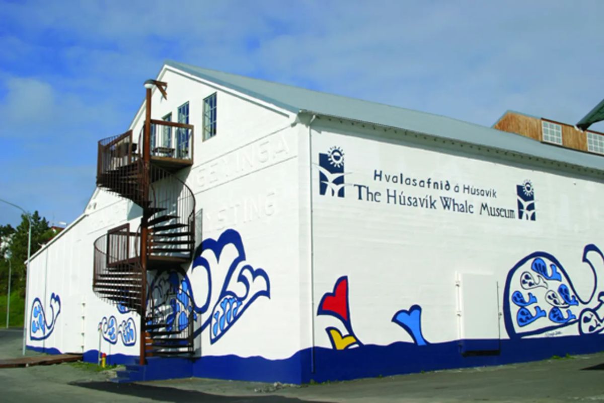 Husavík Whale Museum photo 3