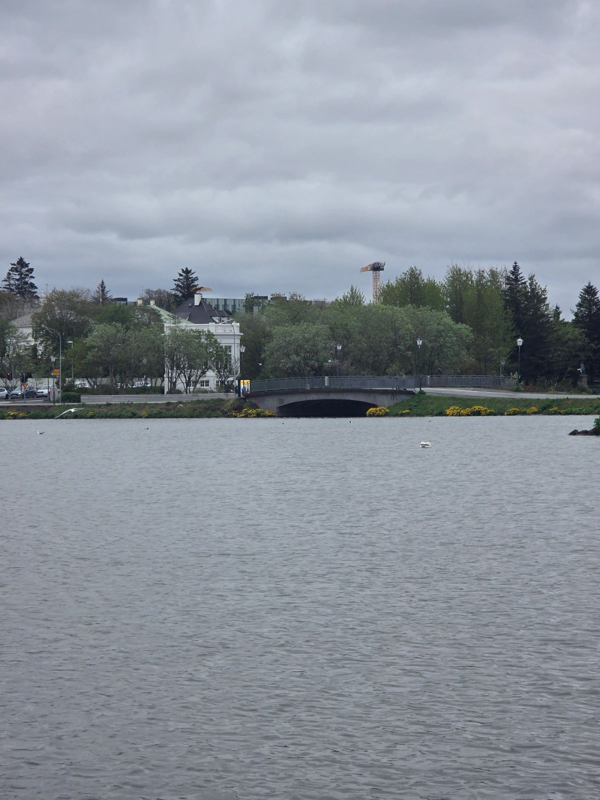 Tjörnin Pond – Reykjavík City Lake photo 11