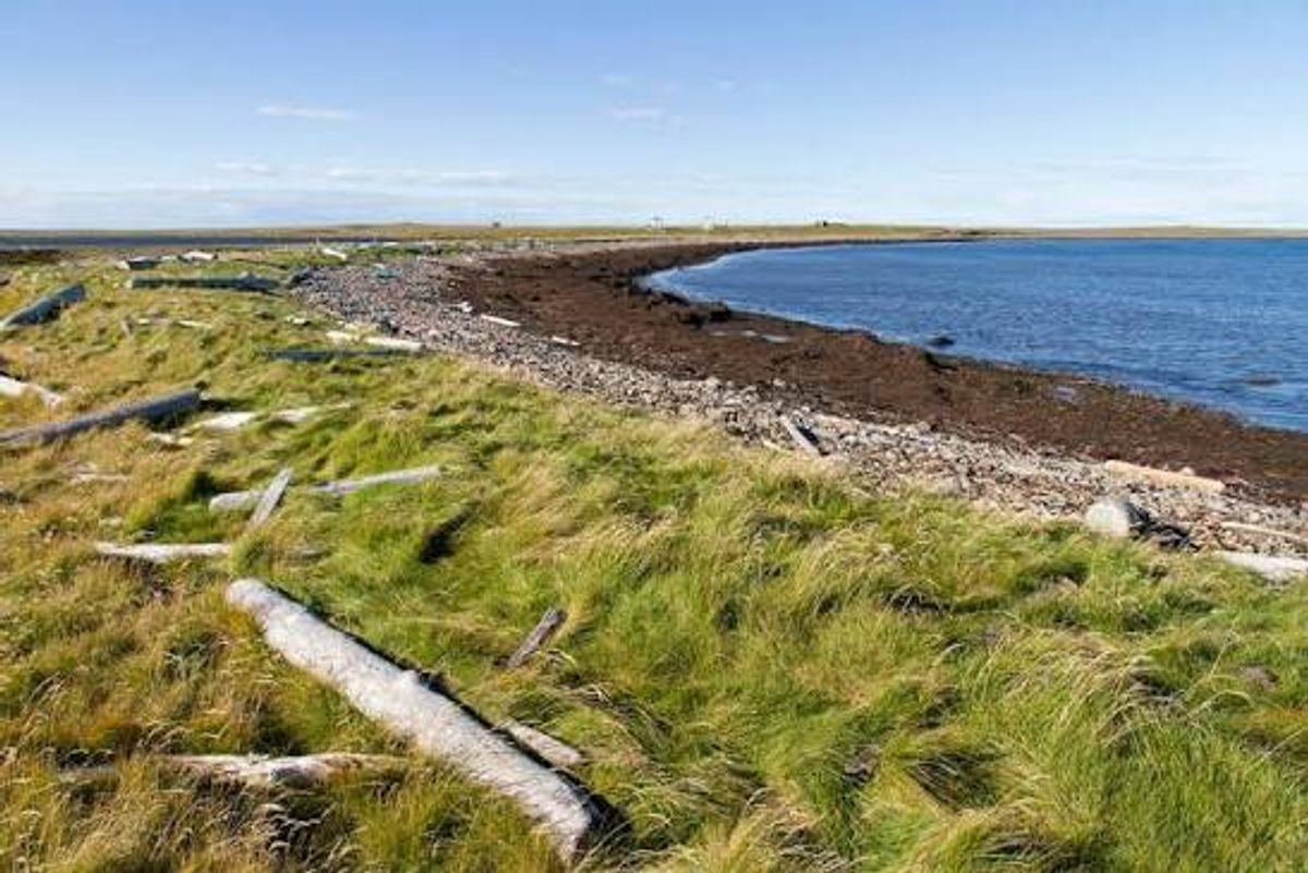 Harðbaksvík in north-iceland