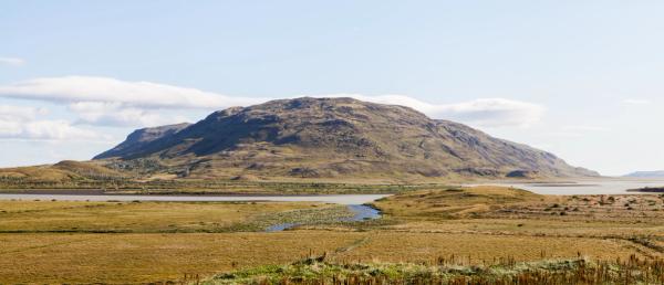 Skálholt