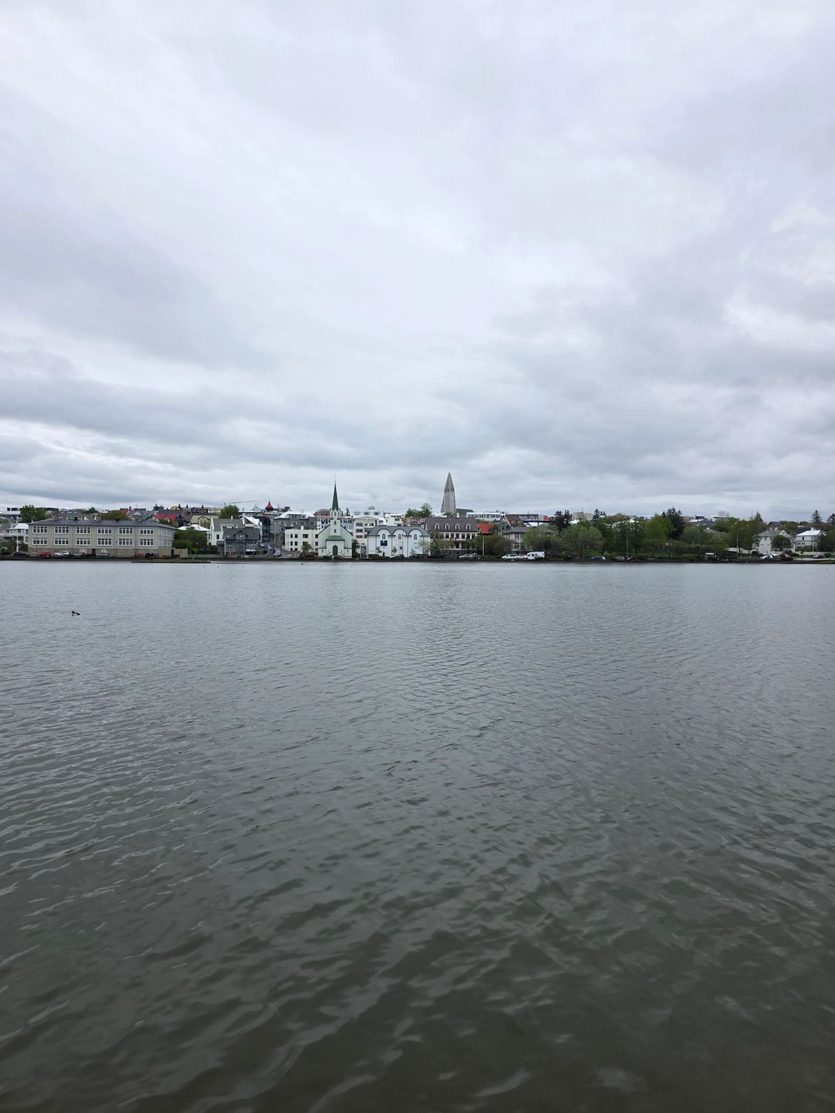 Tjörnin Pond – Reykjavík City Lake photo 12