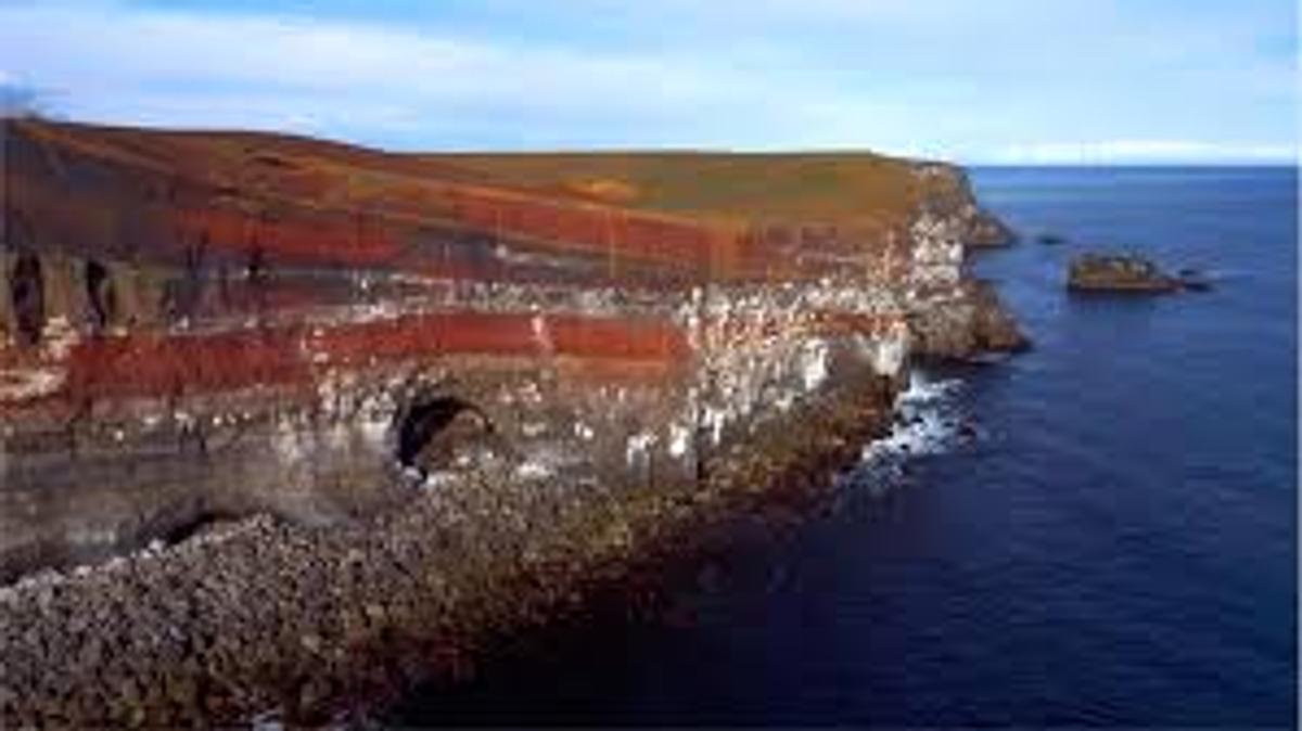 Krýsuvíkurberg in reykjanes