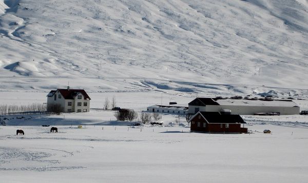 Bakkavað