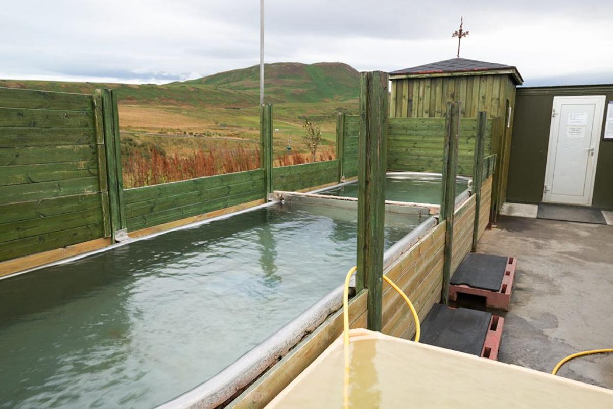 Ostakarið