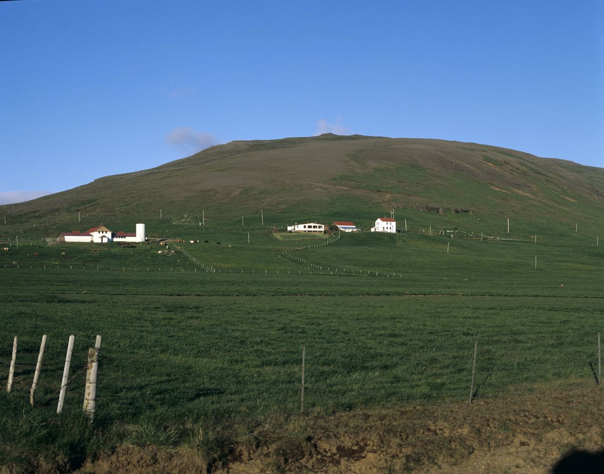 Sauðafell