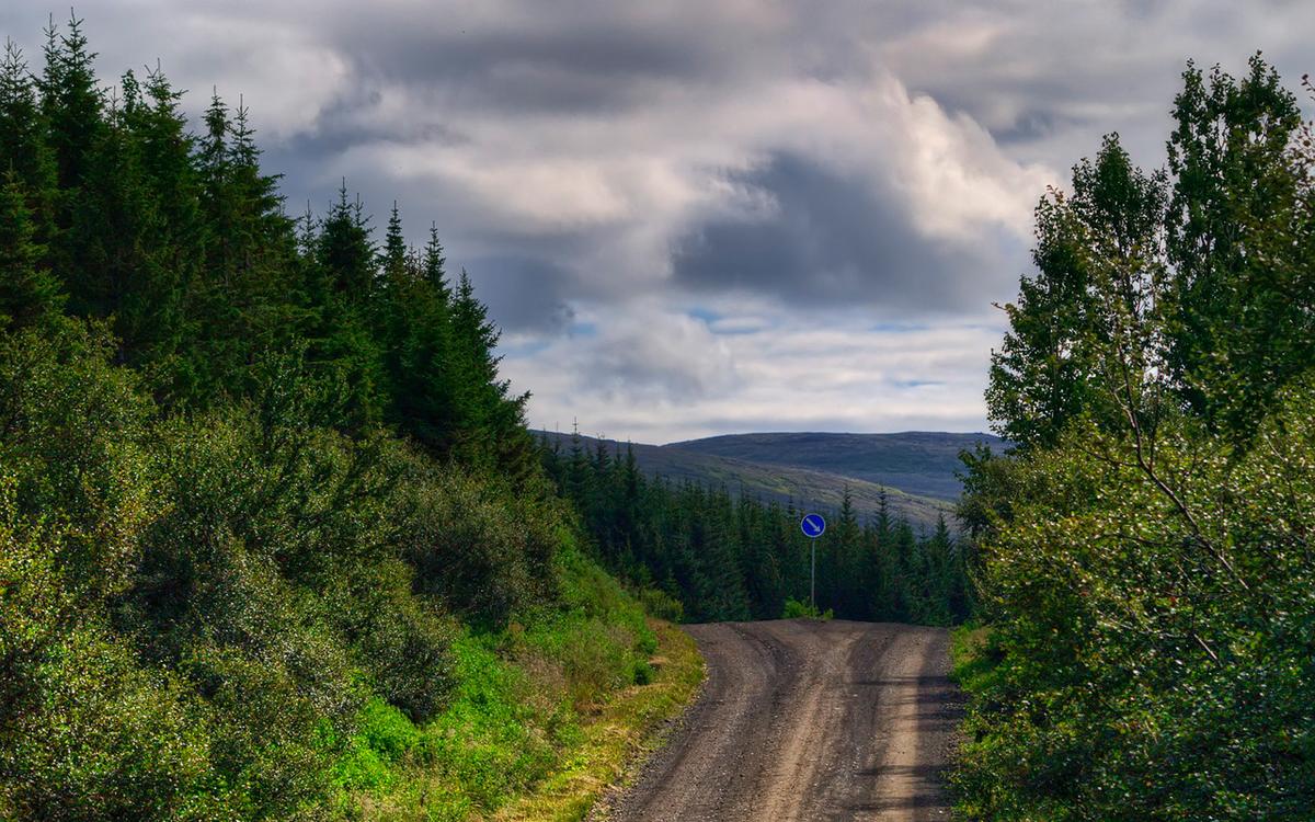 Stálpastaðaskógur