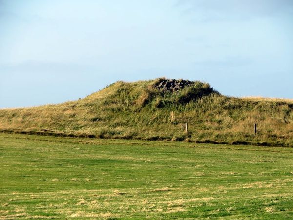 Virkishóll
