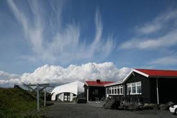 Fjöruborðið Seafood Restaurant