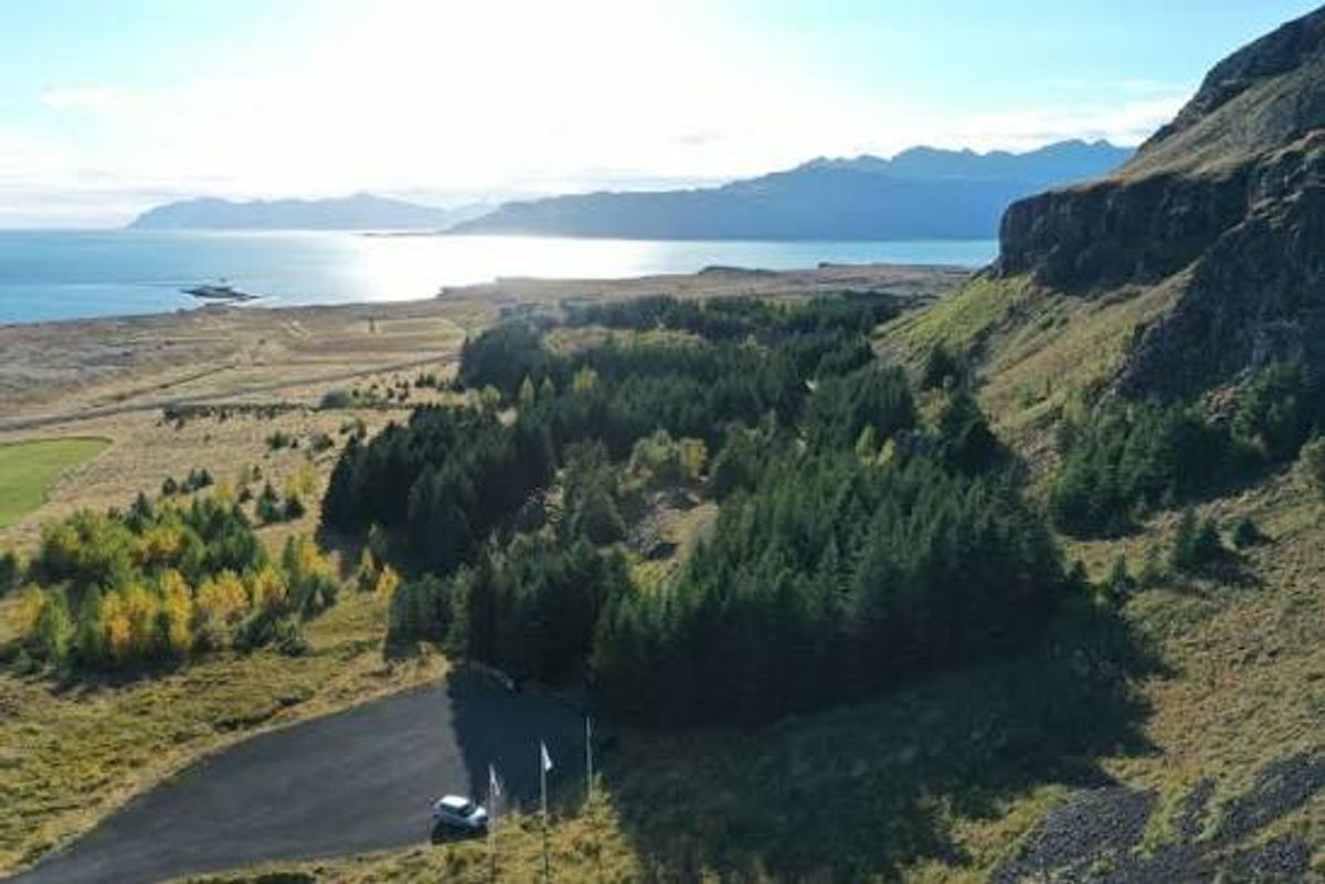 Hálsaskógur in east-iceland — photo 2