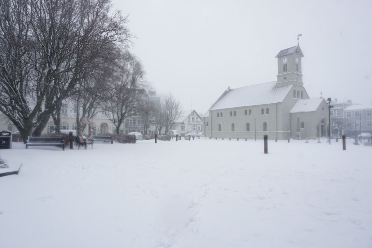 Dómkirkjan í Reykjavík (Reykjavík Cathedral) photo 4