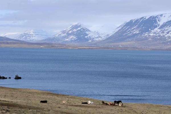 Hörgárdalur