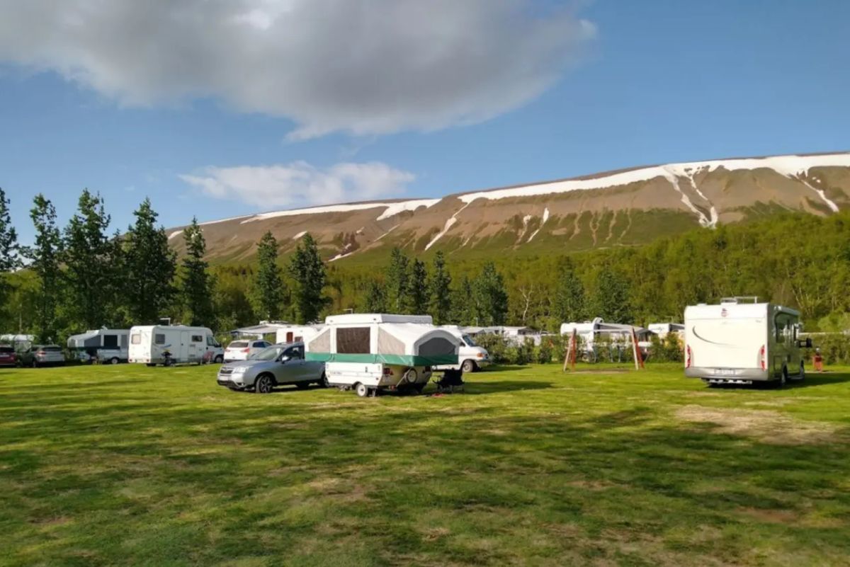 瓦格拉斯森林 in north-iceland — photo 4
