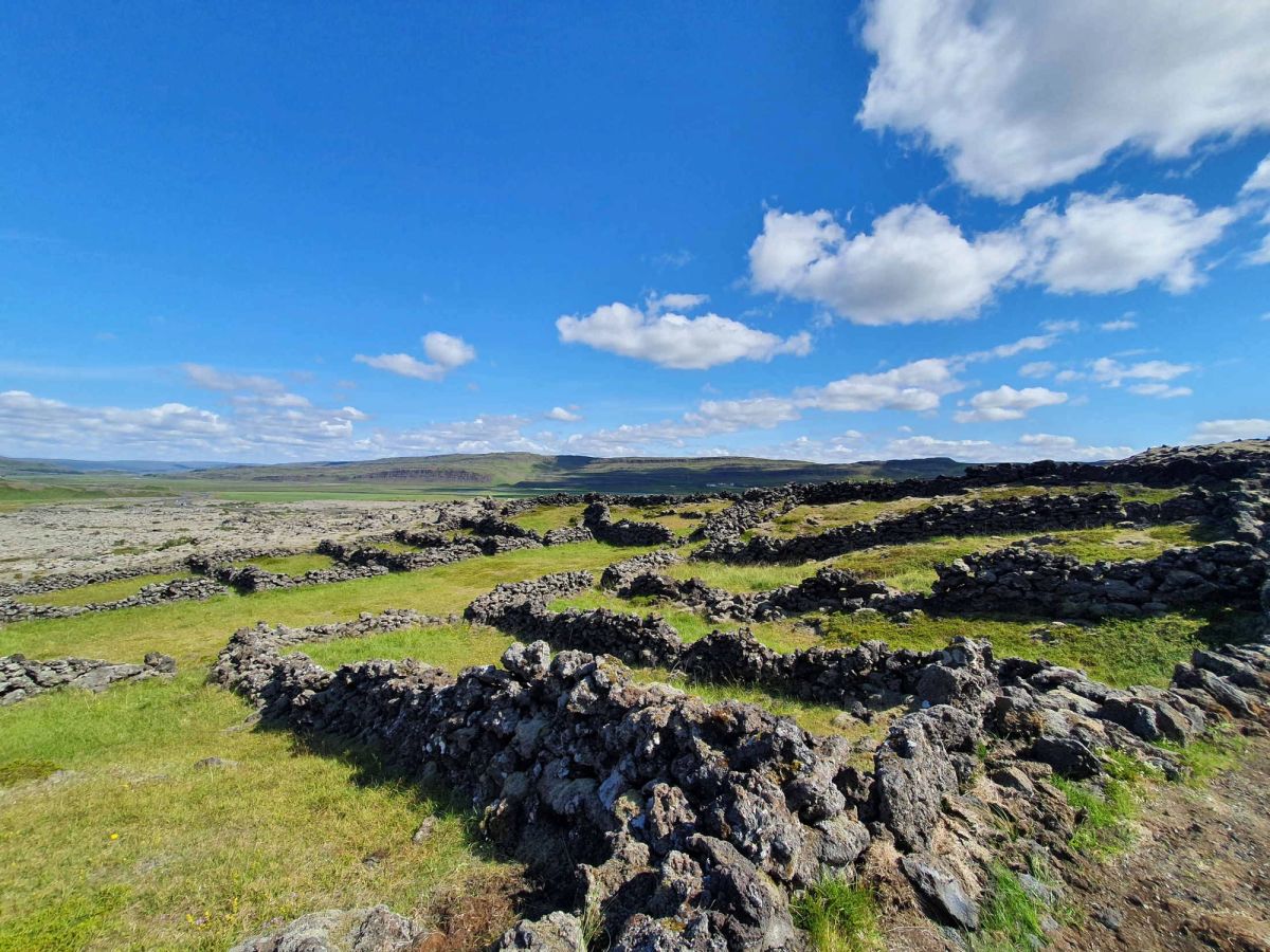 Brekkurétt in west-iceland