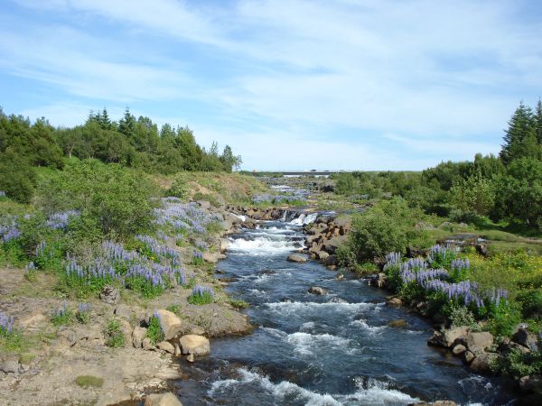 Elliðaárdalur