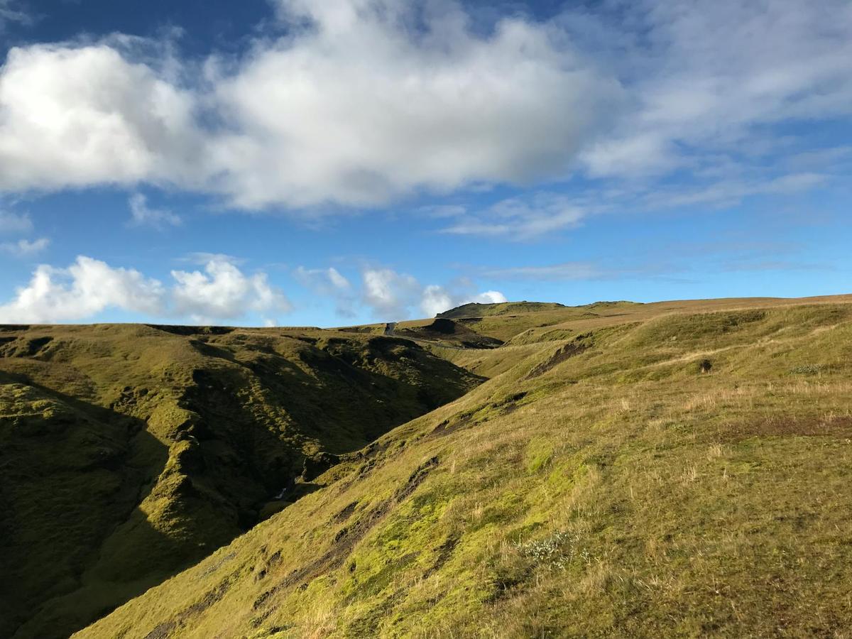 Öskjuhlíð — Reykjavík's Forest Hill