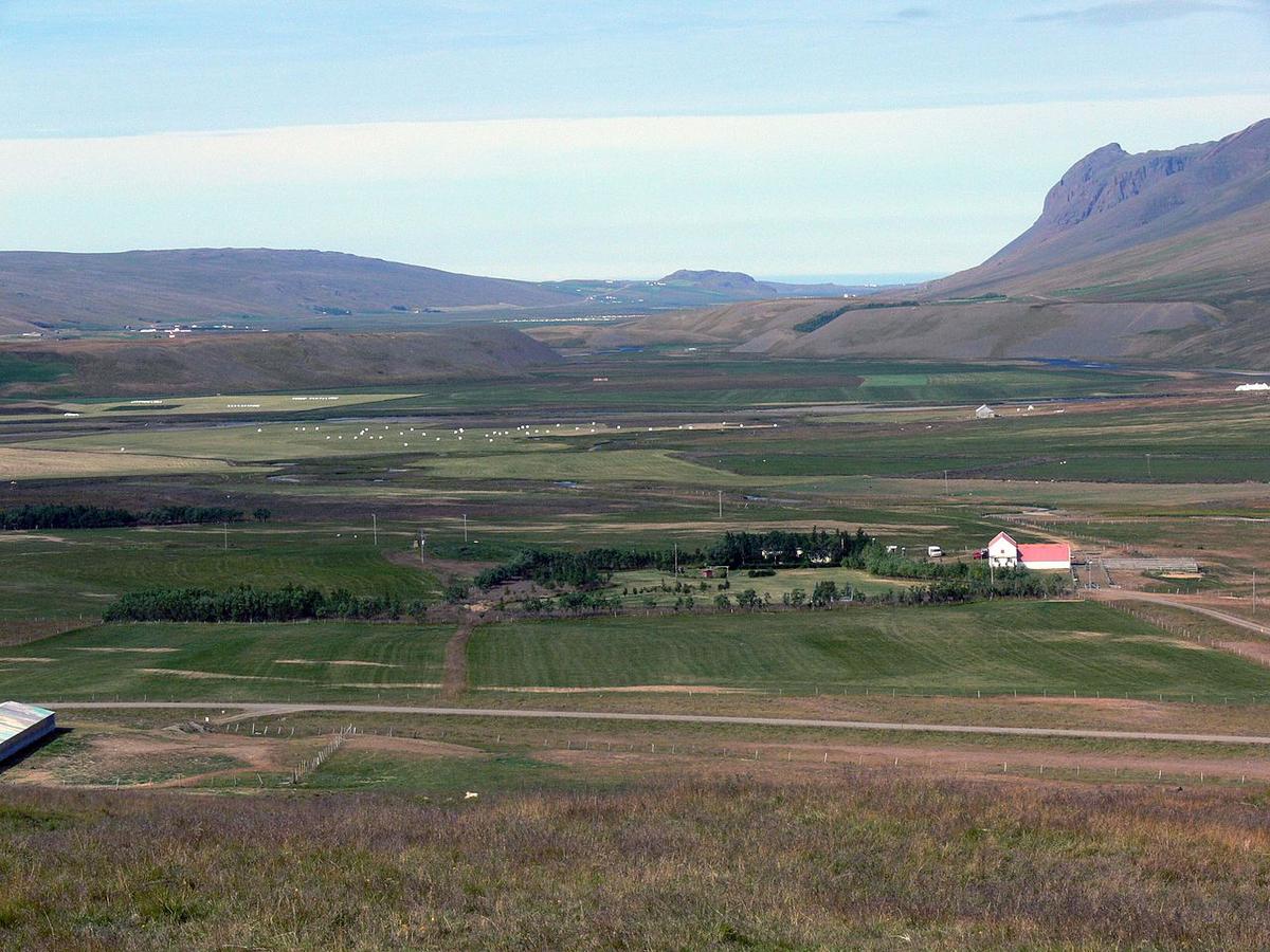 Bjarnastaðir
