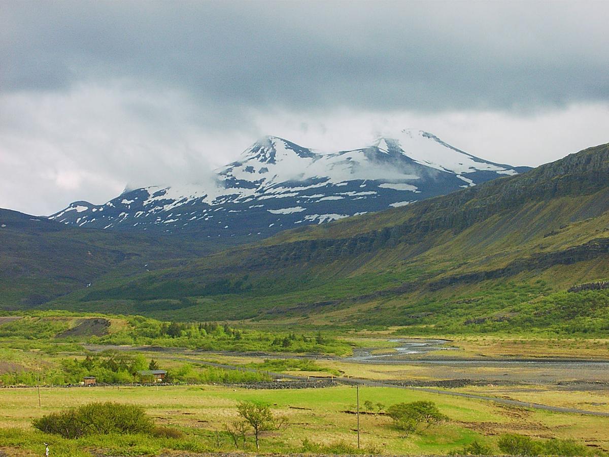 Háasúla