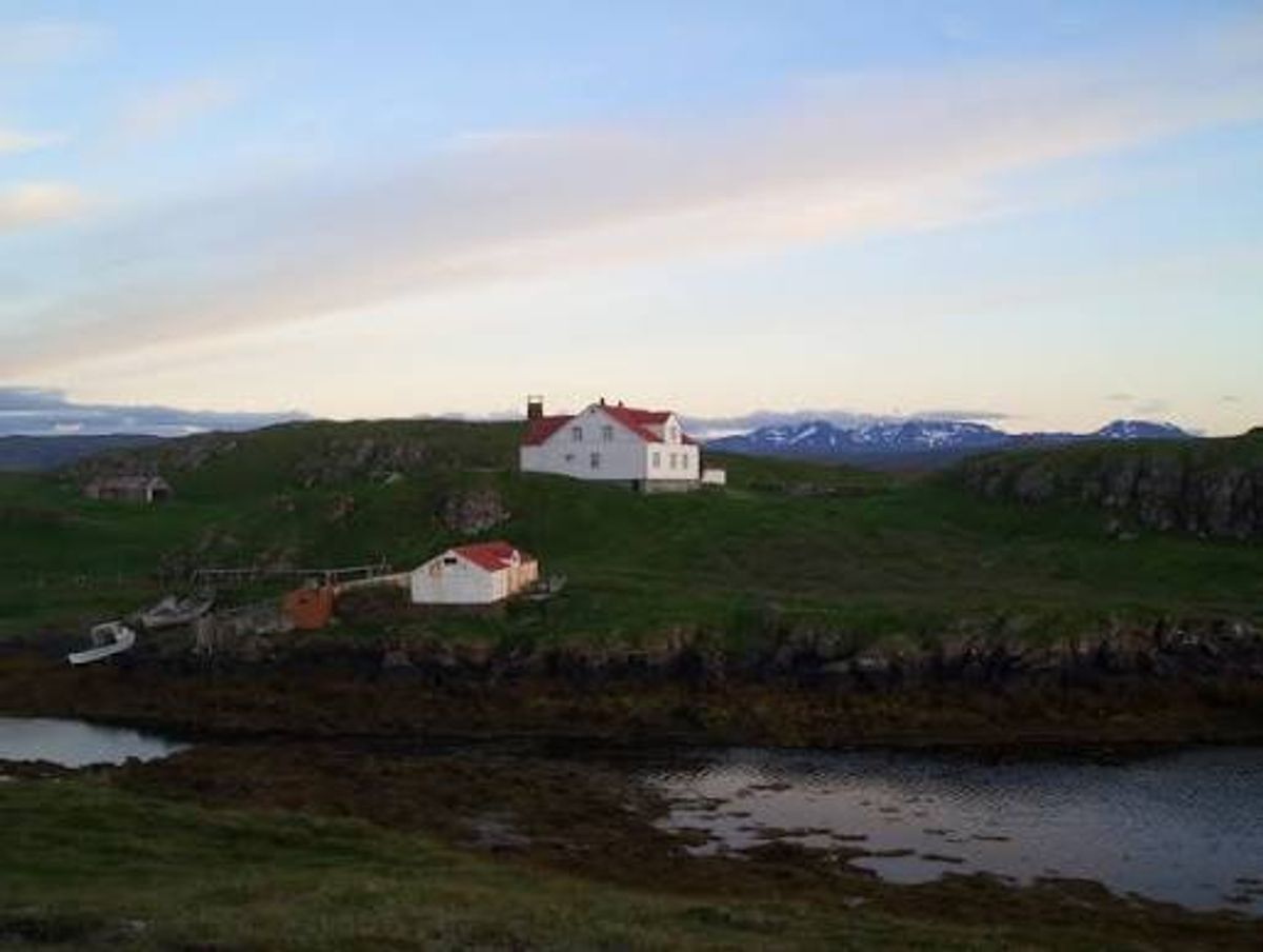 Brokey in snaefellsnes — photo 2