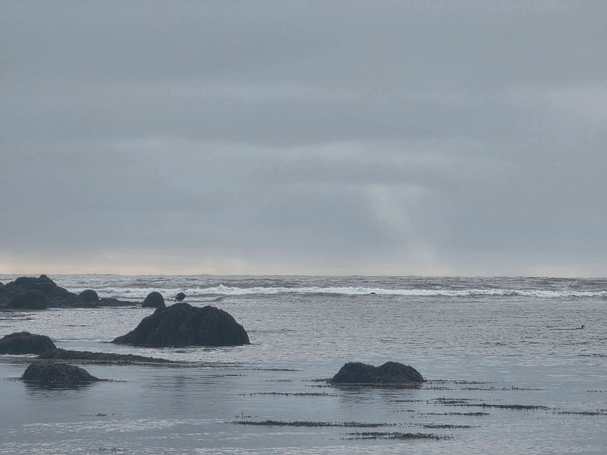 伊特里通加——斯奈菲尔斯内斯海豹滩 in snaefellsnes — photo 3