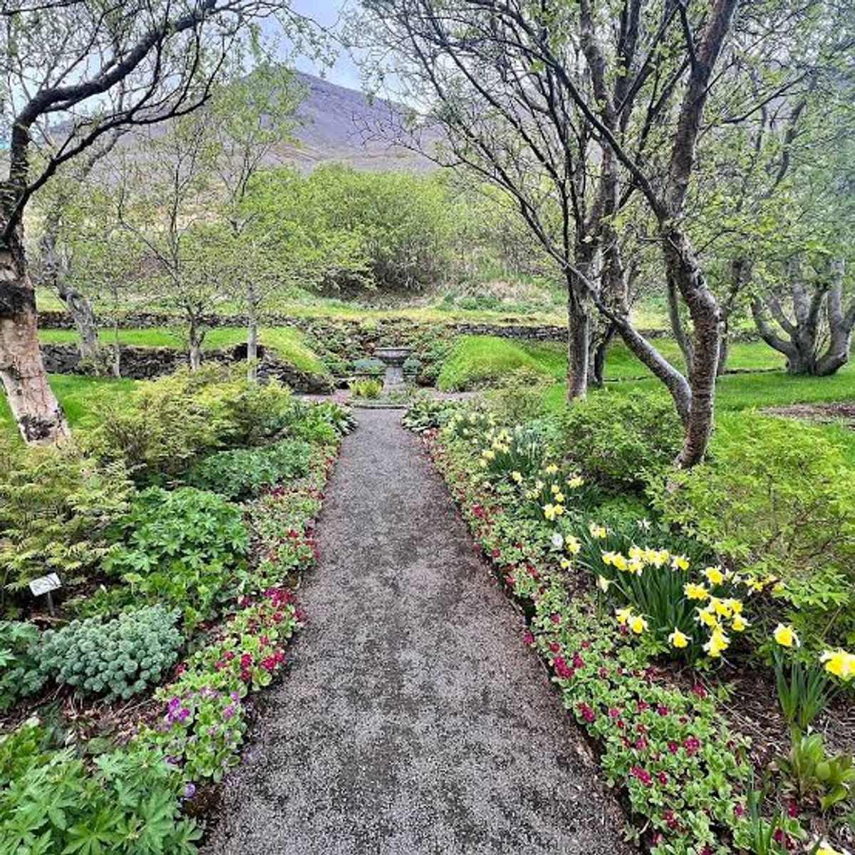 Skrudur Botanical Garden in westfjords — photo 1