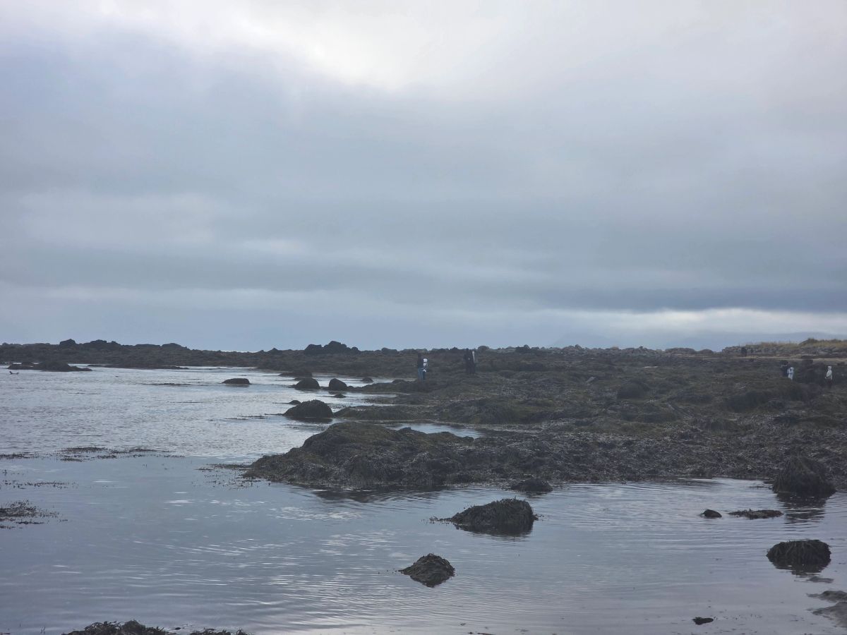 伊特里通加——斯奈菲尔斯内斯海豹滩 in snaefellsnes — photo 4