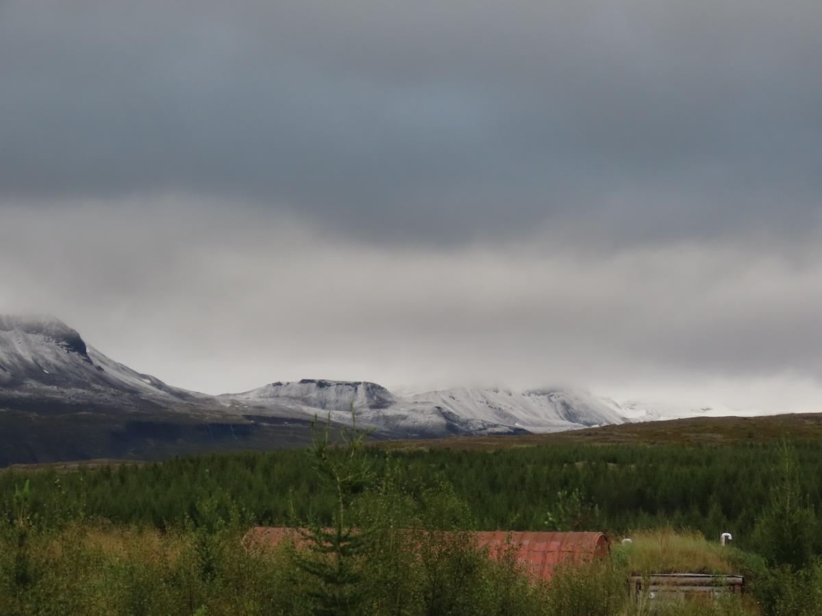 Skúmhöttur