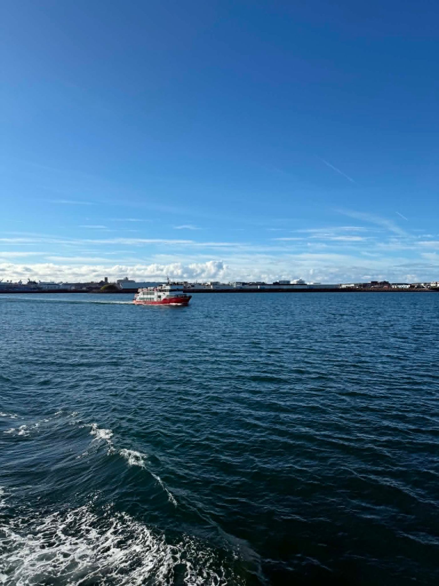 Avistamiento de Ballenas desde Reykjavík – Nuestra Experiencia con Special Tours