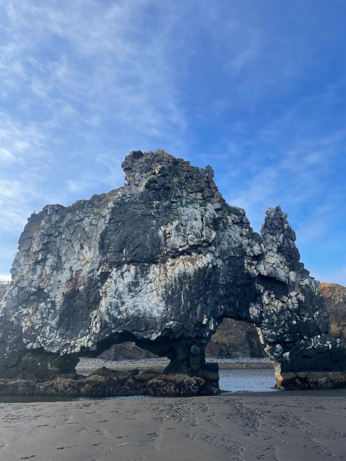 Hvítserkur Rock Formation photo 4