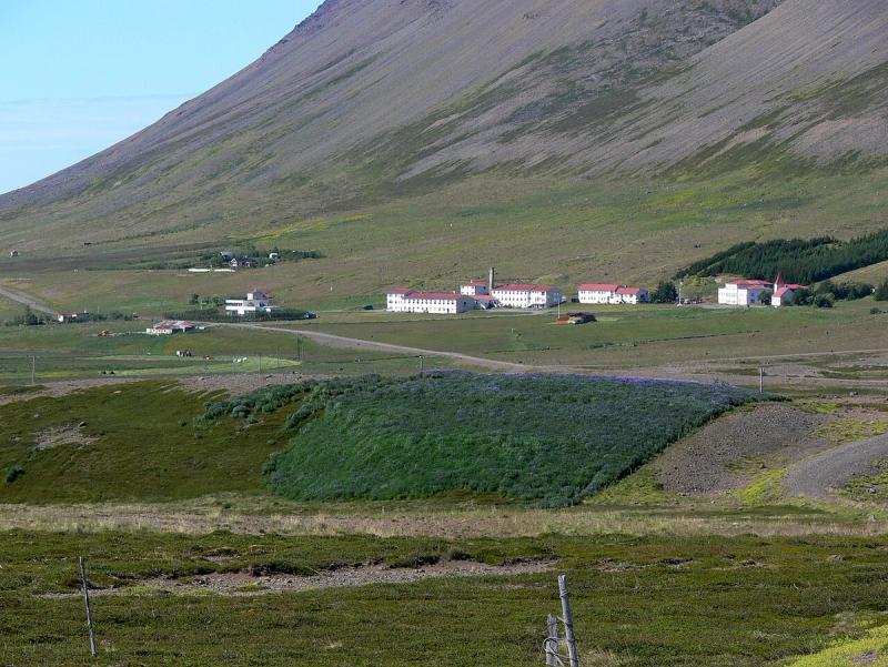 Núpskirkja