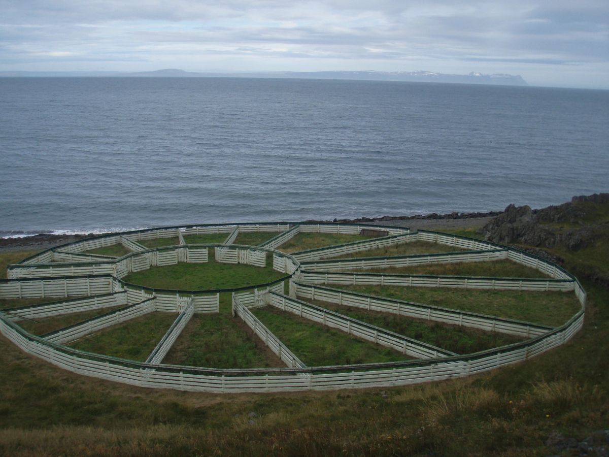 Hamarsrétt in north-iceland — photo 1