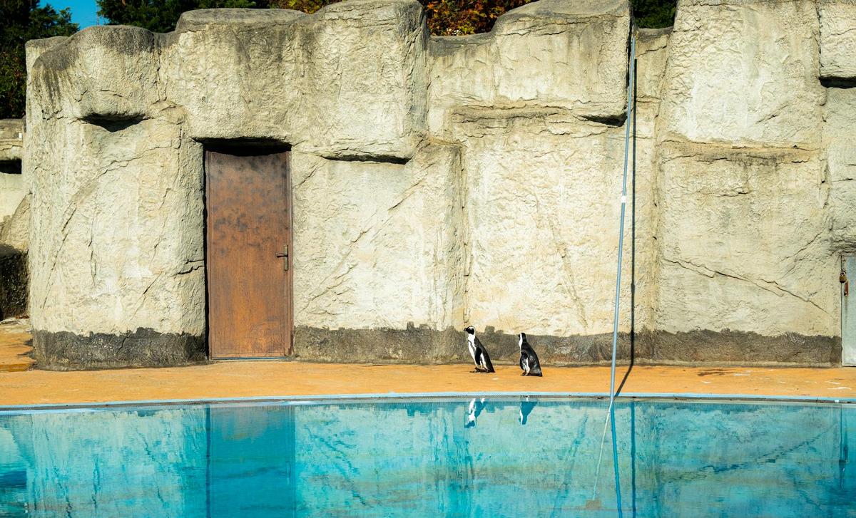 Reykjavík Zoo & Family Park