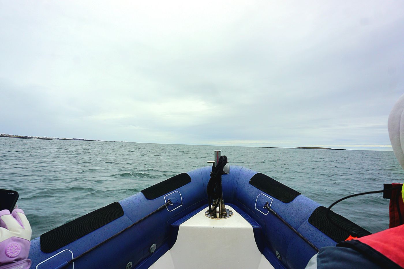 Whale Safari Reykjavík – Okkar RIB hvalaskoðunarupplifun