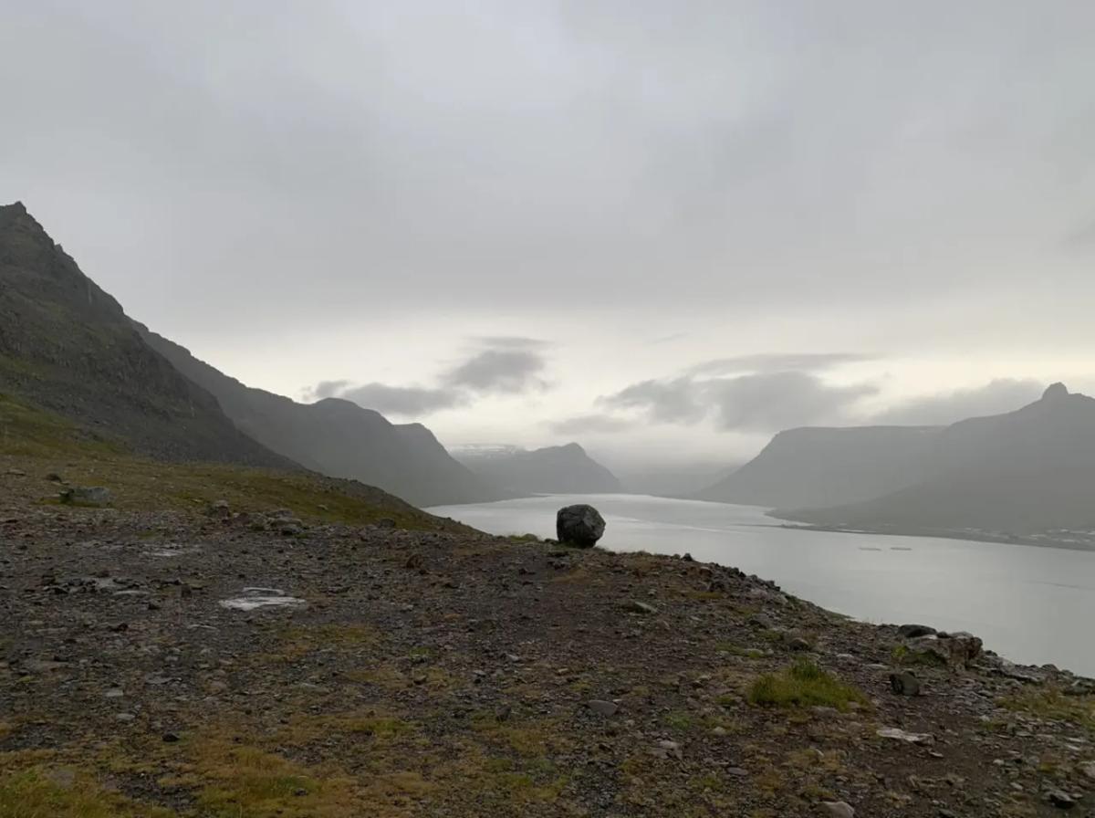 Kambsnes