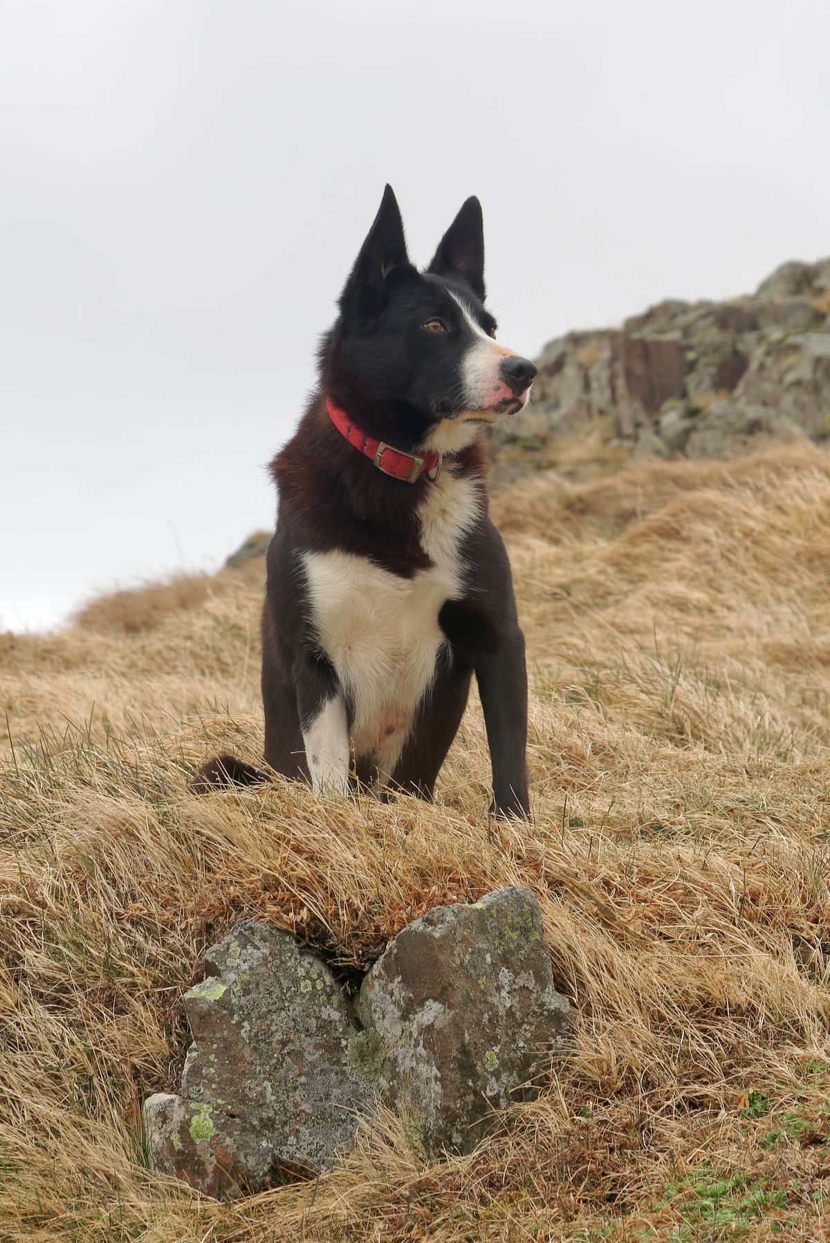 Helgafell