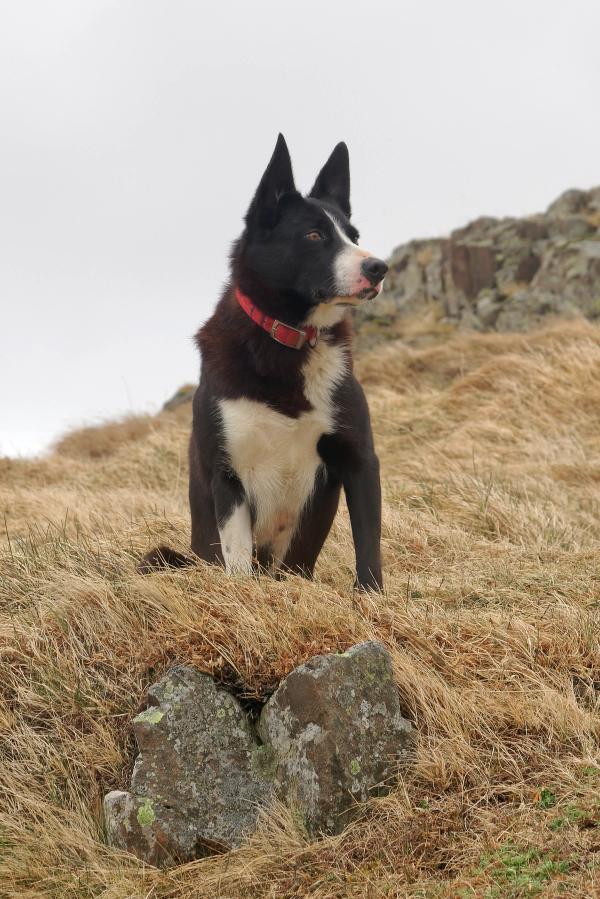 Helgafell