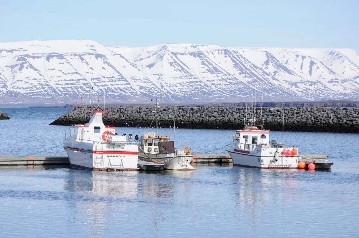 Óslandshlíðarfjöll