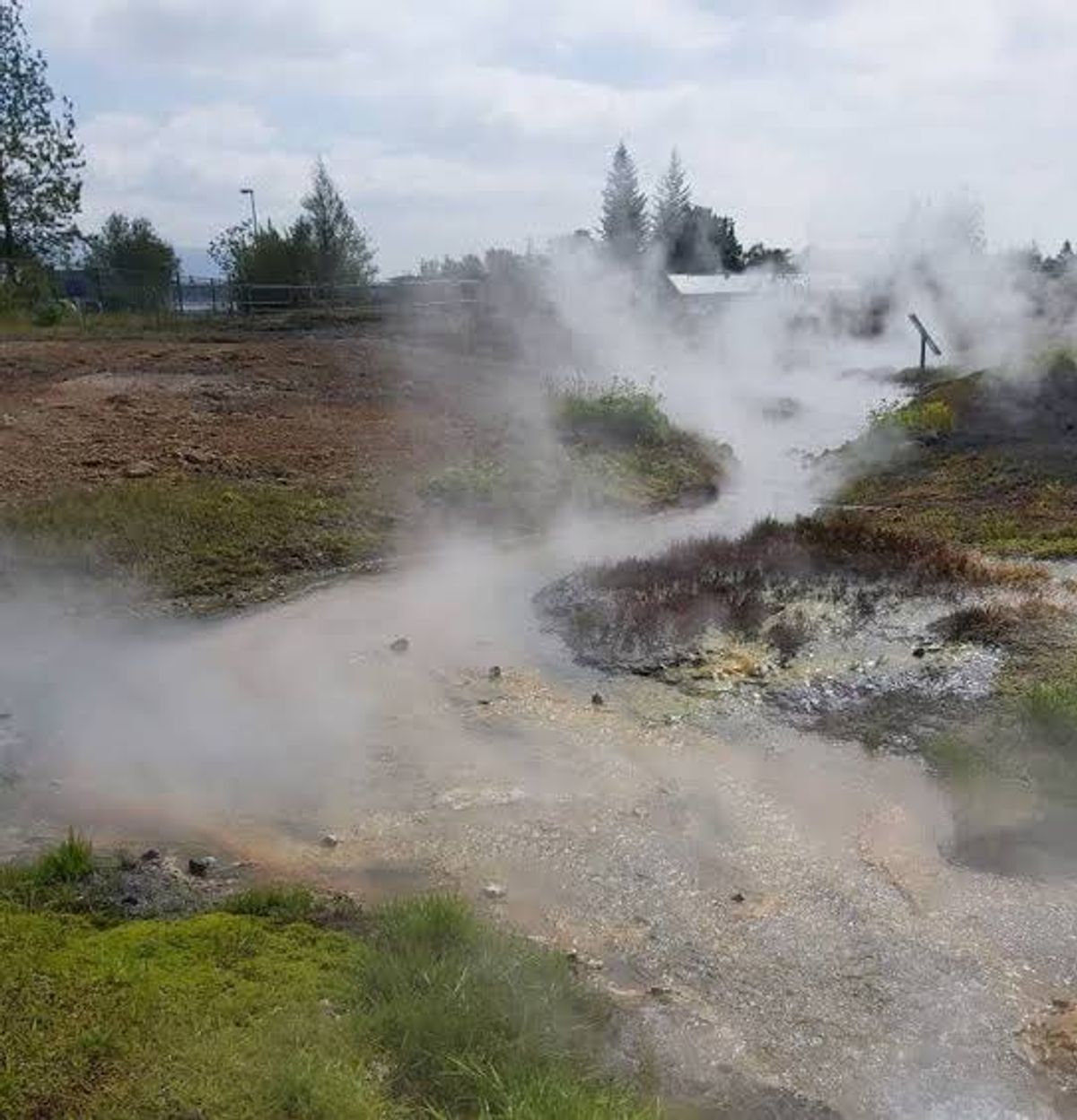Hveragarðurinn — Hveragerði Geothermal Park in south-iceland — photo 4