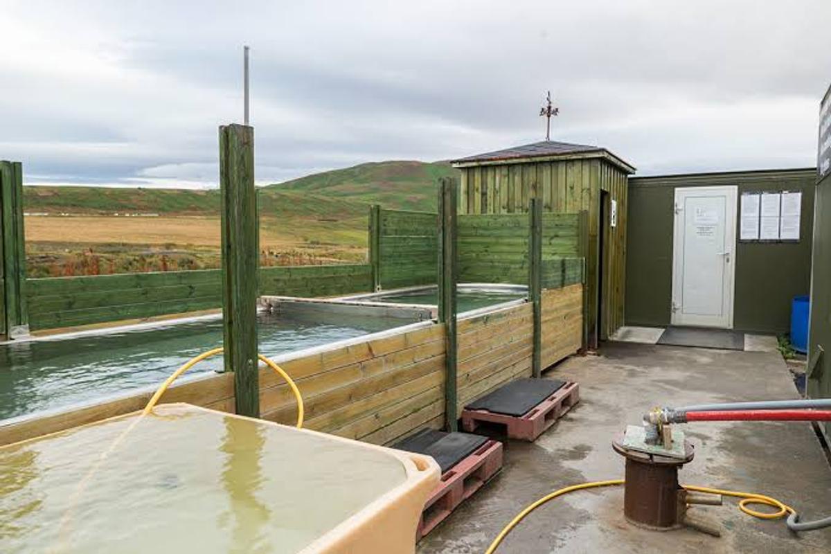 Ostakarið